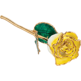 24K Solid Gold Rose- Cream Yellow